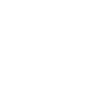 Fast Transportation Service